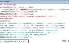 探索.xin域名，解锁数字时代的新篇章