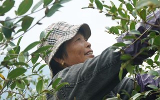 探索网林网络，在数字时代下的影响与未来发展趋势