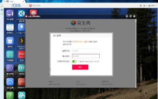 花生壳免费域名怎么用，打造个人或小型企业网站的实用指南