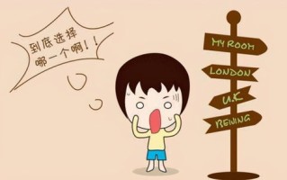 蒲公英网络，稳定与速度的双赢之选