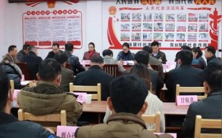 爱国网络评测，构建数字时代的健康网络生态