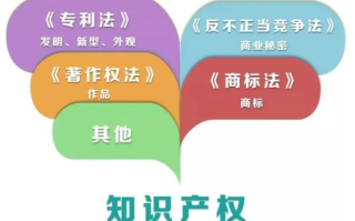简述域名与传统知识产权的异同点