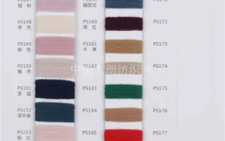 上海紫博蓝评测，领先的隐花色纱供应商崛起之路