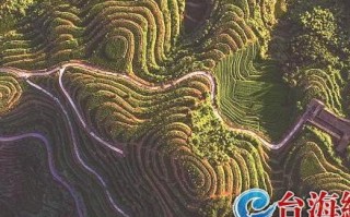 标效提升，千讯网络科技引领数字化时代信息传输新变革