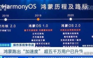 探索中域频道，多元内容、用户体验与未来展望的深度解析