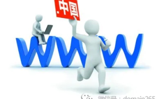 万网域名注册已付款，全面解析与注意事项