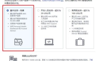 云服务器选择指南，付费与免费服务的深度对比
