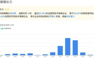 冰雷科技，创新应用与风险并存的探索之旅