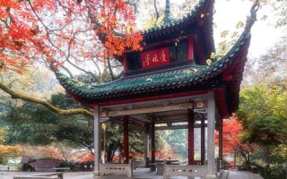 长见识了！揭秘长沙数据网，本地数据资源库的高效利用与用户体验