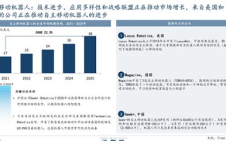 中文域名管理办法，构建网络新生态的基石