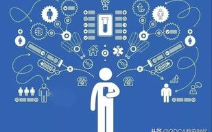 绿网互联，驱动数字时代安全、高效的网络连接