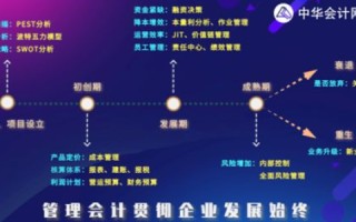 审视皇冠互联，专业能力、客户反馈与业务价值