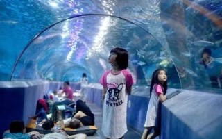 海贝网络的奇妙之旅，探索未知与连接世界的力量