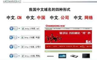 中文域名代表什么意思，探索数字时代下的文化符号与商业机遇