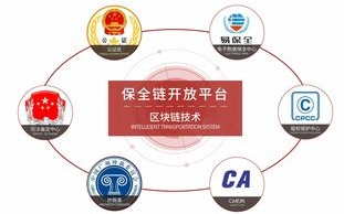 名站互联官网，打造一站式信息化服务平台，助力企业数字化转型