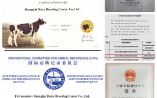 企业如何申请腾讯云授权书
