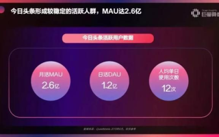 久久猫数据，解锁未来大数据的无限可能