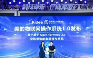 安徽蚌埠市网络科技有限公司有限公司域名转出遭遇高昂费用，行业乱象与消费者权益保护探讨