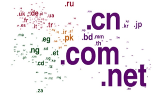 在Internet域名系统中，gov通常表示政府机构的官方在线门户
