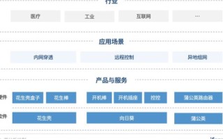 花生壳免费域名，功能限制与解决方案