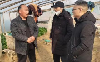 振兴数据评测，湖北华夏数据评测引领新时代的数字化转型