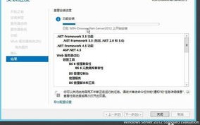 阿里云服务器如何安装服务器所需软件，IIS、FTP等