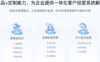 优化您的在线业务，Bluehost的全方位解析与最佳实践