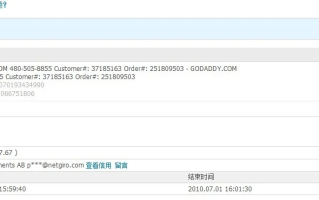 在GoDaddy上能否用支付宝注册info域名？价格及流程详解