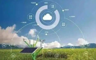 草秆网络，重塑乡村数字生态的创新实践