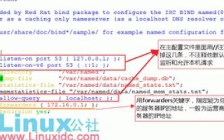 我新建一个DNS服务器，如何配置DNS服务器以实现不同线路域名解析