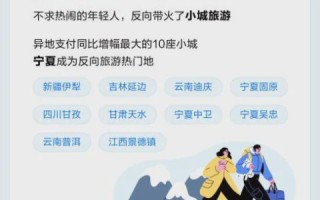 心仪数据的奇妙之旅，深入了解与实战应用体验