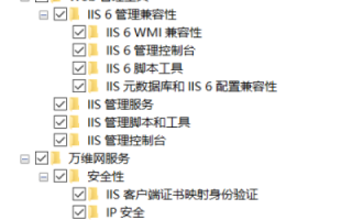 IIS60域名解析与域名绑定，服务器配置详解