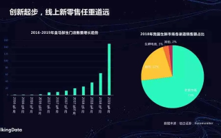 第一数据的魅力，揭秘数据科学中的前端引领与创新探索