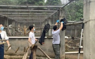 爱就乐，互联时代的稳定之选