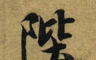 优飞互联，重塑未来数字互联新生态