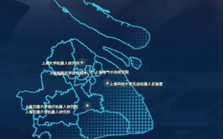 上海世纪互联使用情况，深度剖析与前景展望