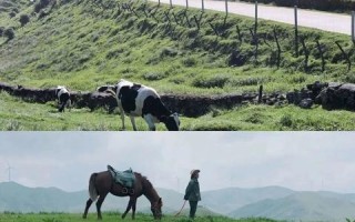 邵阳网络技术，被忽视的宝藏与用户体验探索