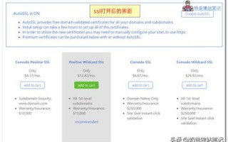 有没有比较好的美国主机？BlueHost中国的主机怎样？