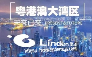 中国网创，创新与机遇并存的数字时代探索
