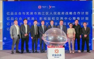 亿品网络评测，深度解析互联网公司的多维度性能与用户体验