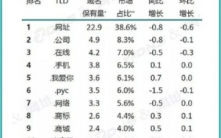 探索域名PUBLICCSHNCN背后的故事，从最高层域名CN透视中国互联网的崛起