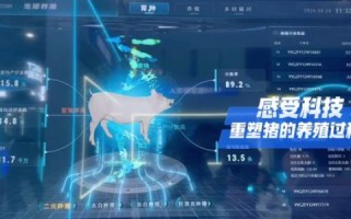酷啦网络评测，挖掘数字时代下的娱乐新宠儿，创新体验与性能评测全解析