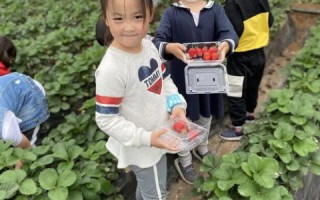 前辈们你们好，从零到一，共建免费网站的梦想之旅