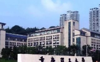 互联网浪潮下的四海互联评测，探索数字时代的新生态