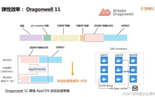 很少见Java虚拟主机，探索其独特价值与应用前景