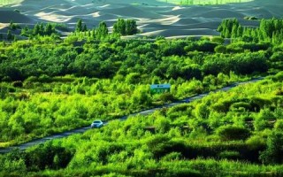 探索数据家园，数字化生活的新篇章