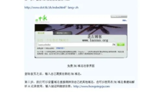 TK域名绑定网站全攻略，从零开始，轻松搞定绑定步骤