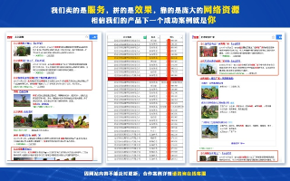 石家庄最便宜做网站注册域名空间找哪家公司？