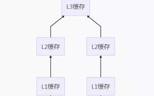 Internet顶级域名分类解析，模式与多样性