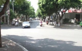 热浪肆虐下的全球数据揭示，自然界的极端与人类的应对挑战